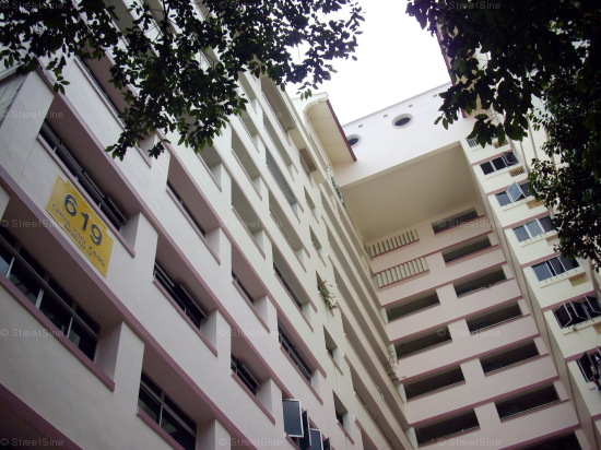 Blk 619 Choa Chu Kang North 7 (Choa Chu Kang), HDB 5 Rooms #77082